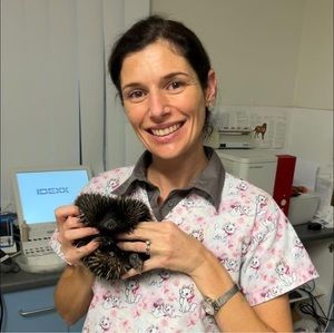 Meet your Posher, Sarah